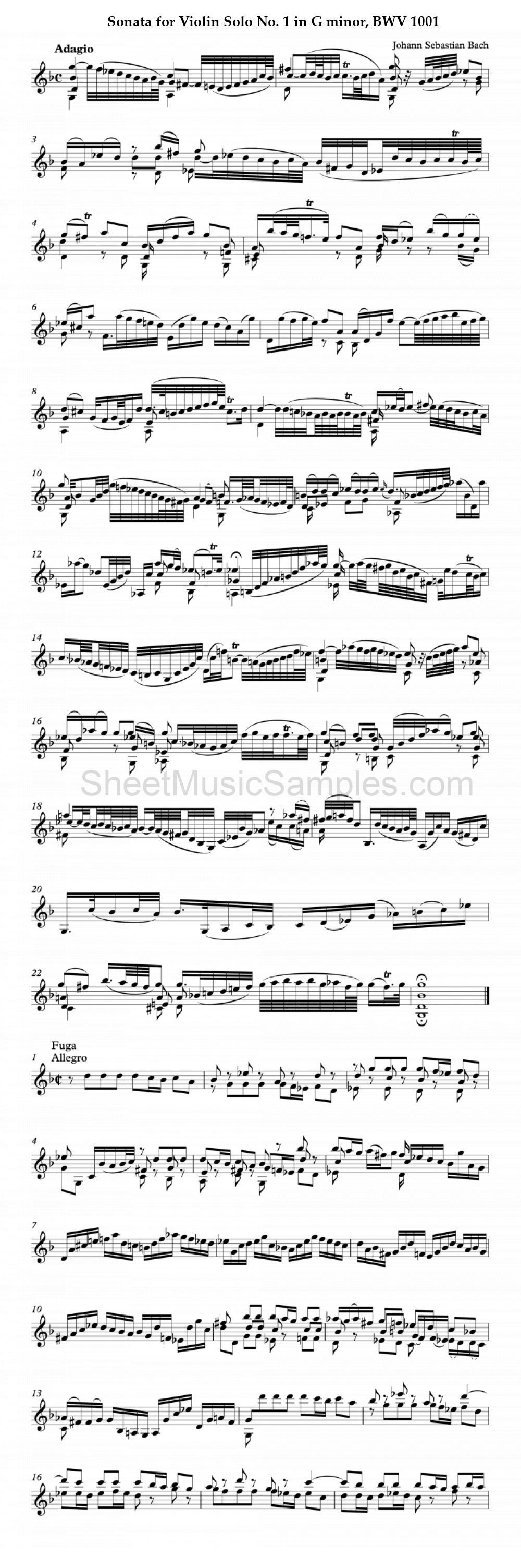 Sonata for Violin Solo No. 1 in G minor, BWV 1001