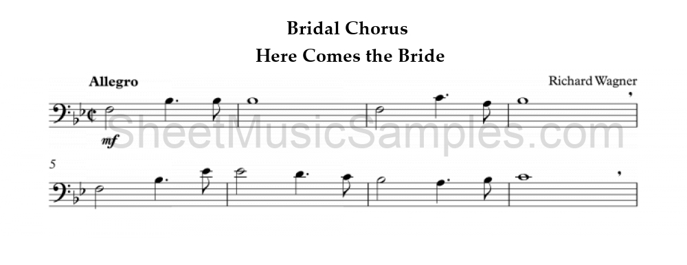 Bridal Chorus - Here Comes the Bride