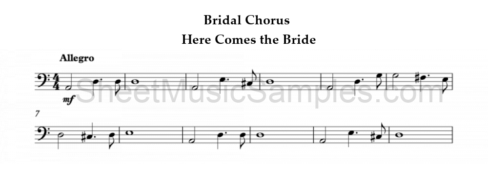 Bridal Chorus - Here Comes the Bride