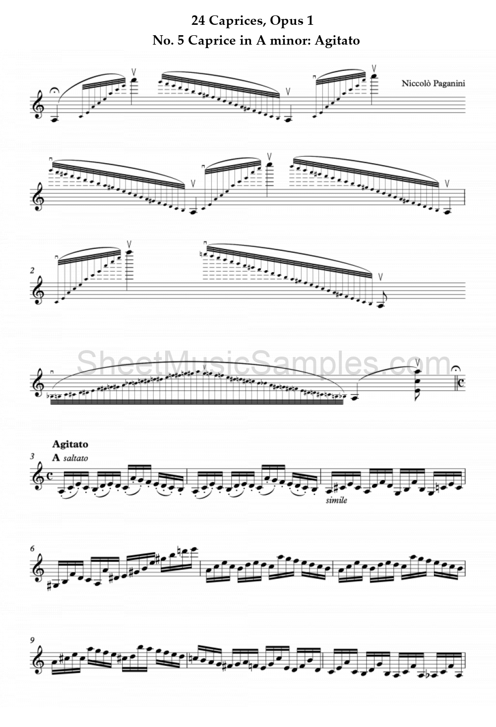 24 Caprices, Opus 1 - No. 5 Caprice in A minor: Agitato