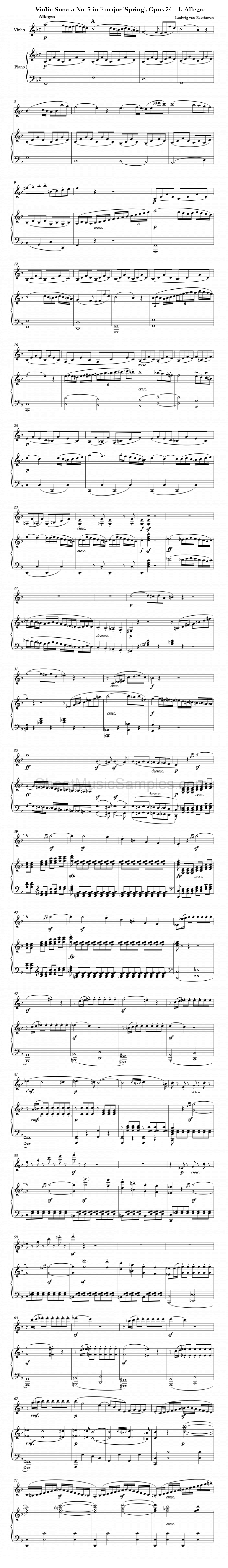 Violin Sonata No. 5 in F major 'Spring', Opus 24 – I. Allegro