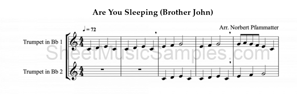 Are You Sleeping (Brother John)