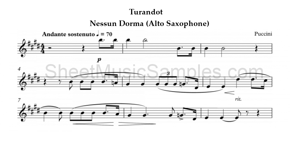 Turandot - Nessun Dorma (Alto Saxophone)