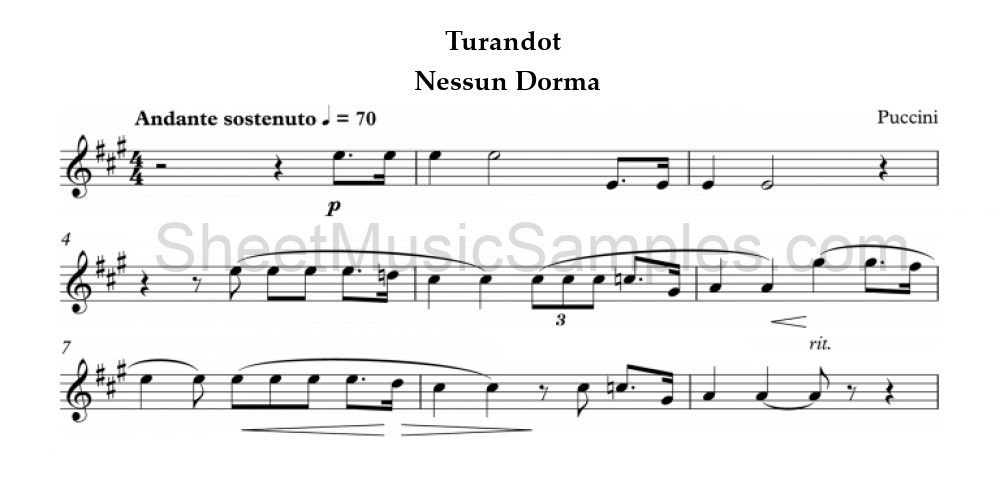 Turandot - Nessun Dorma