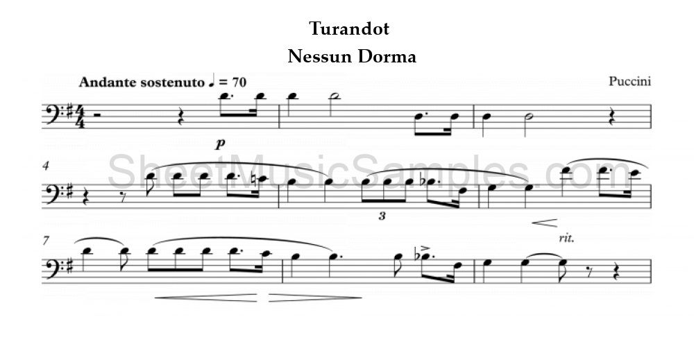 Turandot - Nessun Dorma