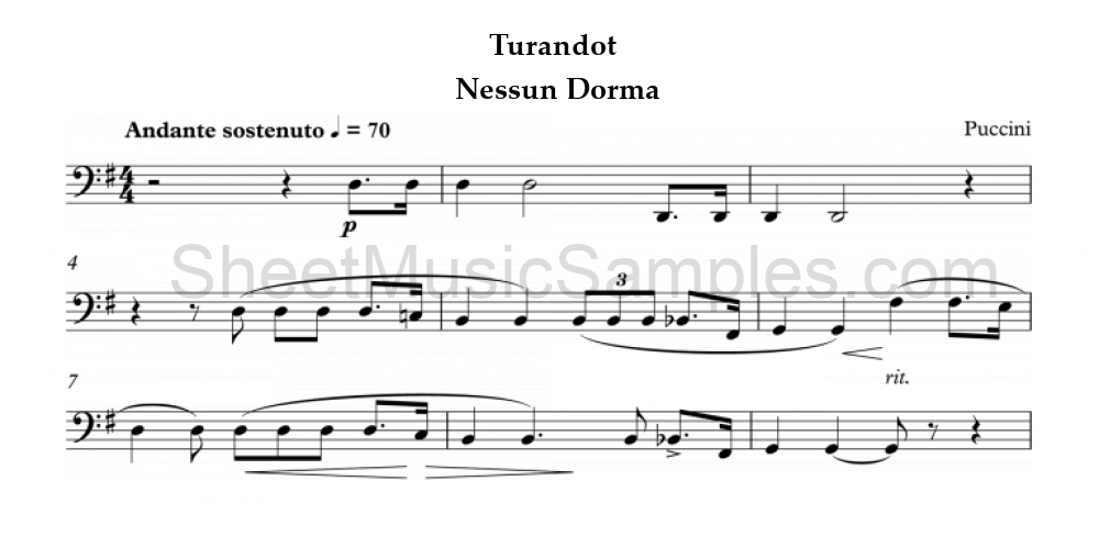 Turandot - Nessun Dorma