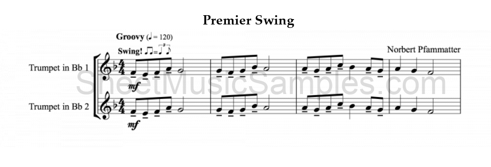 Premier Swing