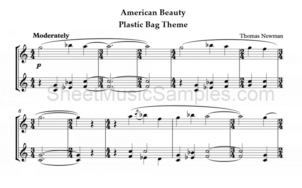 American Beauty - Plastic Bag Theme