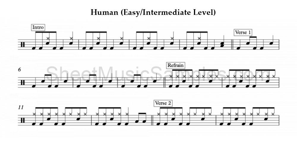 Human (Easy/Intermediate Level)