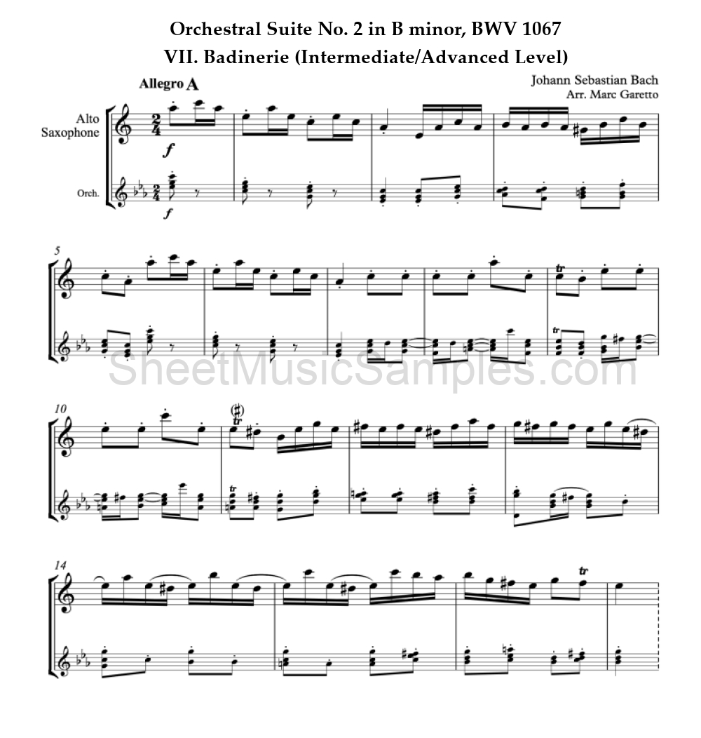 Orchestral Suite No. 2 in B minor, BWV 1067 - VII. Badinerie (Intermediate/Advanced Level)