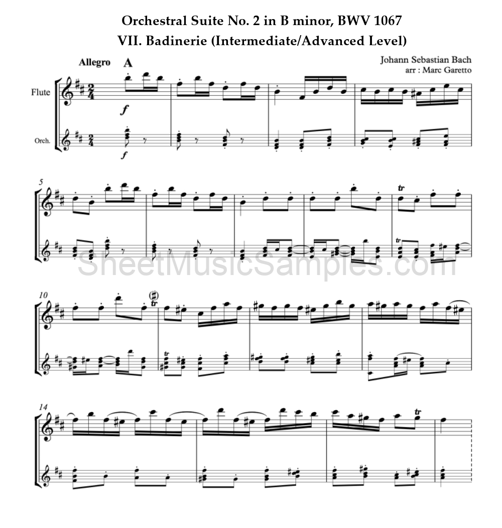 Orchestral Suite No. 2 in B minor, BWV 1067 - VII. Badinerie (Intermediate/Advanced Level)