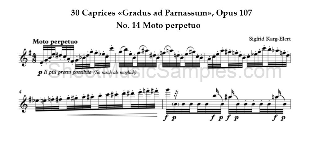 30 Caprices «Gradus ad Parnassum», Opus 107 - No. 14 Moto perpetuo