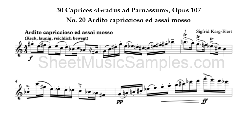 30 Caprices «Gradus ad Parnassum», Opus 107 - No. 20 Ardito capriccioso ed assai mosso