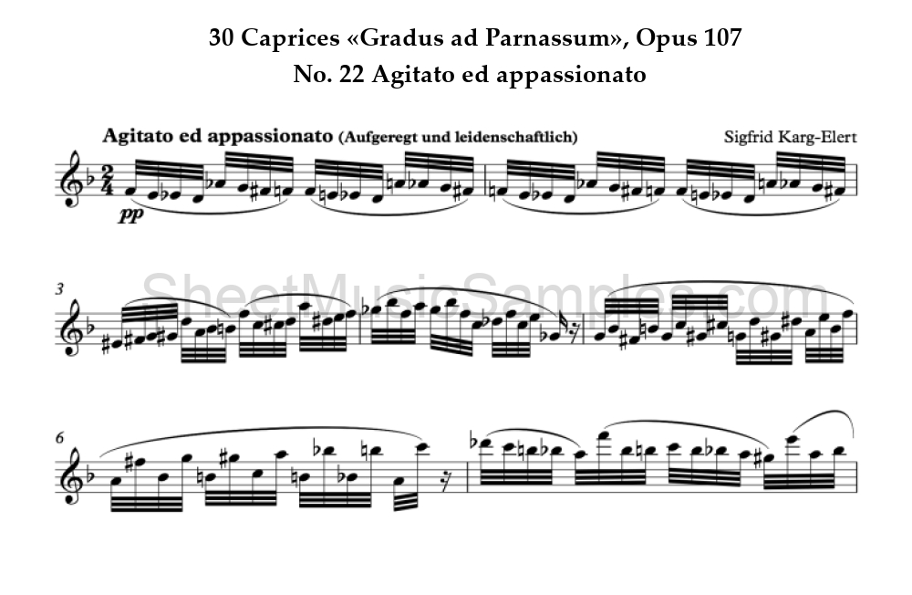 30 Caprices «Gradus ad Parnassum», Opus 107 - No. 22 Agitato ed appassionato