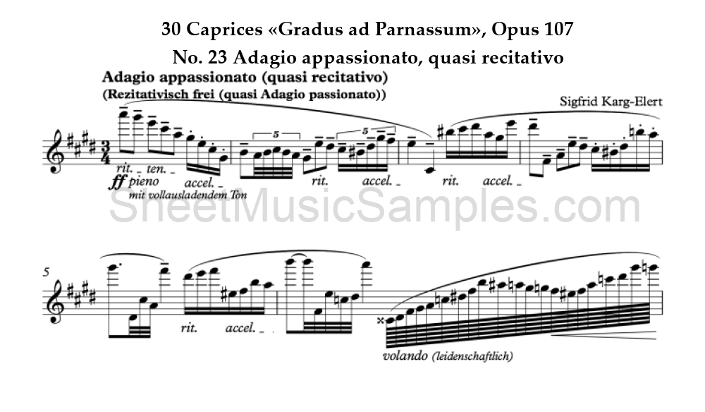 30 Caprices «Gradus ad Parnassum», Opus 107 - No. 23 Adagio appassionato, quasi recitativo