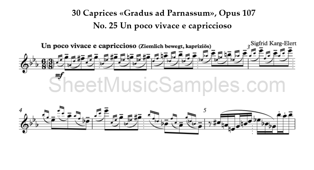 30 Caprices «Gradus ad Parnassum», Opus 107 - No. 25 Un poco vivace e capriccioso