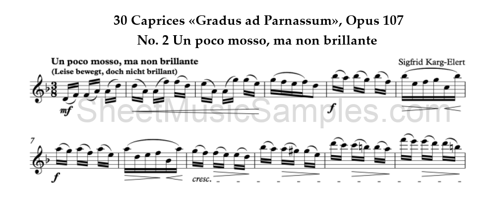 30 Caprices «Gradus ad Parnassum», Opus 107 - No. 2 Un poco mosso, ma non brillante