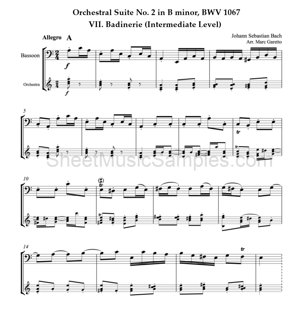 Orchestral Suite No. 2 in B minor, BWV 1067 - VII. Badinerie (Intermediate Level)