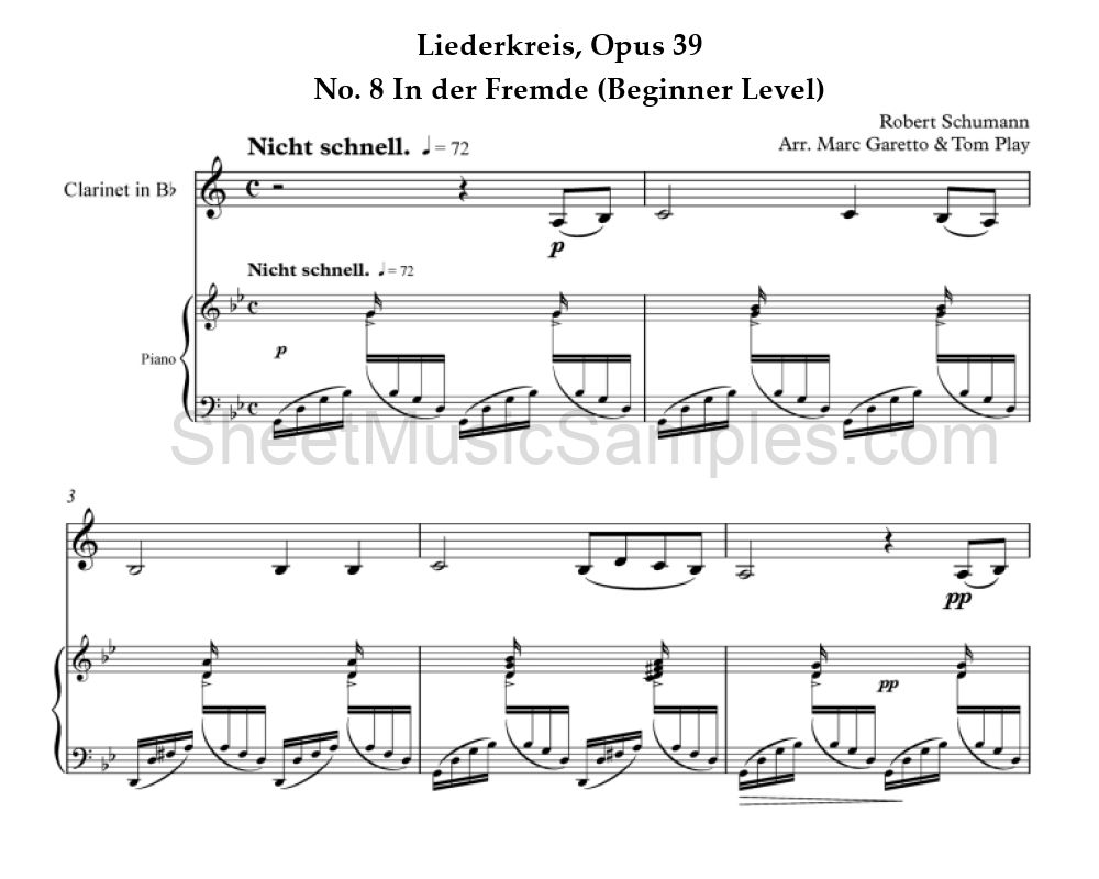 Liederkreis, Opus 39 - No. 8 In der Fremde (Beginner Level)