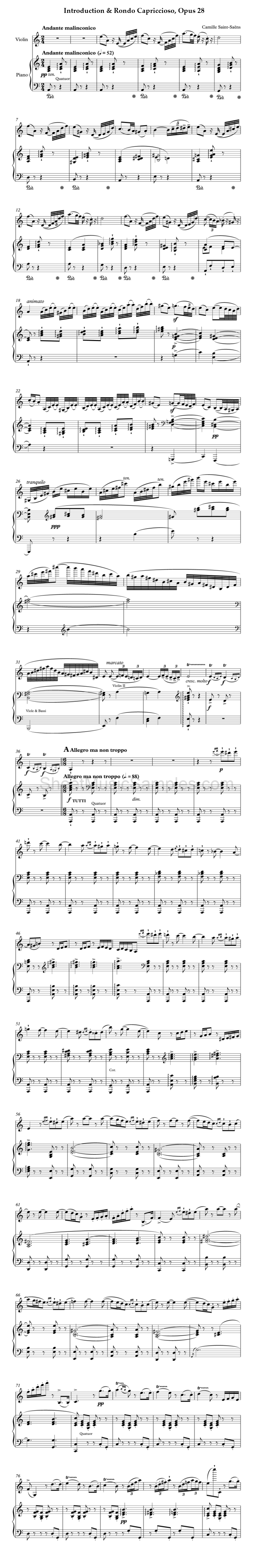 Introduction & Rondo Capriccioso, Opus 28