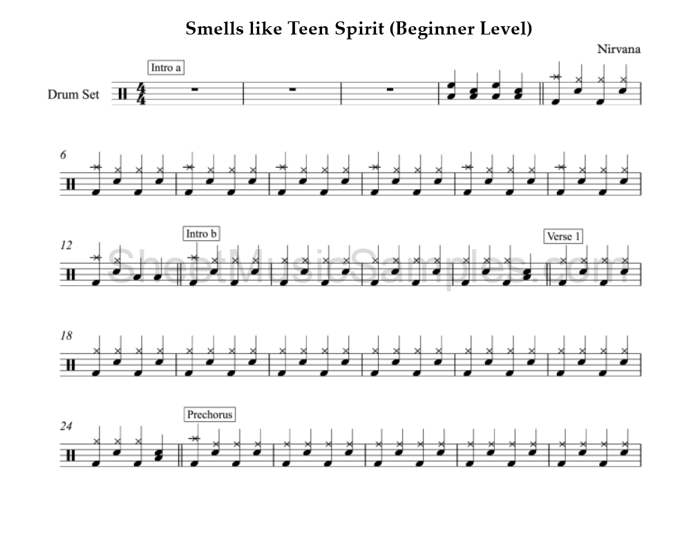 Smells like Teen Spirit (Beginner Level)