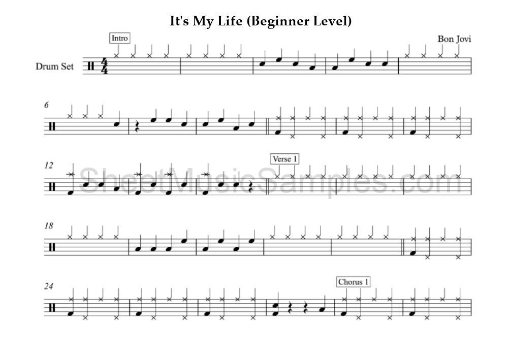 It's My Life (Beginner Level)