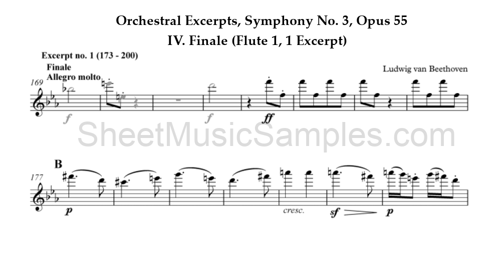 Orchestral Excerpts, Symphony No. 3, Opus 55 - IV. Finale (Flute 1, 1 Excerpt)