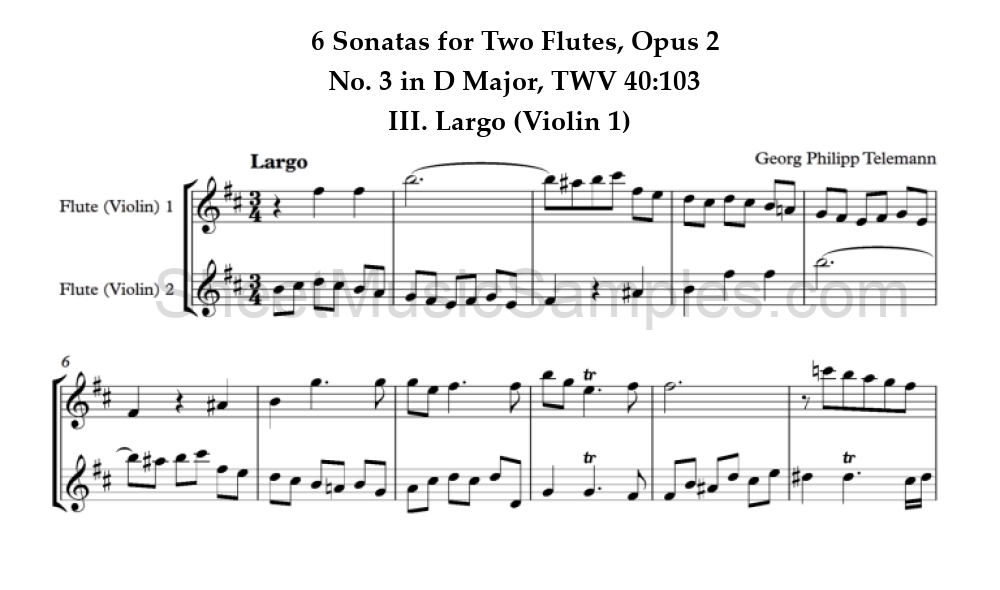 6 Sonatas for Two Flutes, Opus 2 - No. 3 in D Major, TWV 40:103 - III. Largo (Violin 1)