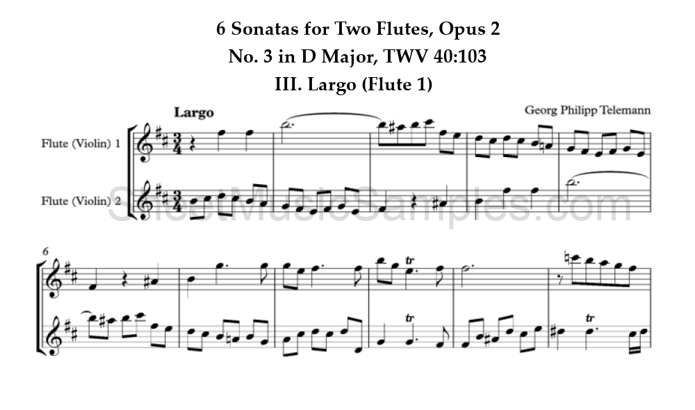 6 Sonatas for Two Flutes, Opus 2 - No. 3 in D Major, TWV 40:103 - III. Largo (Flute 1)