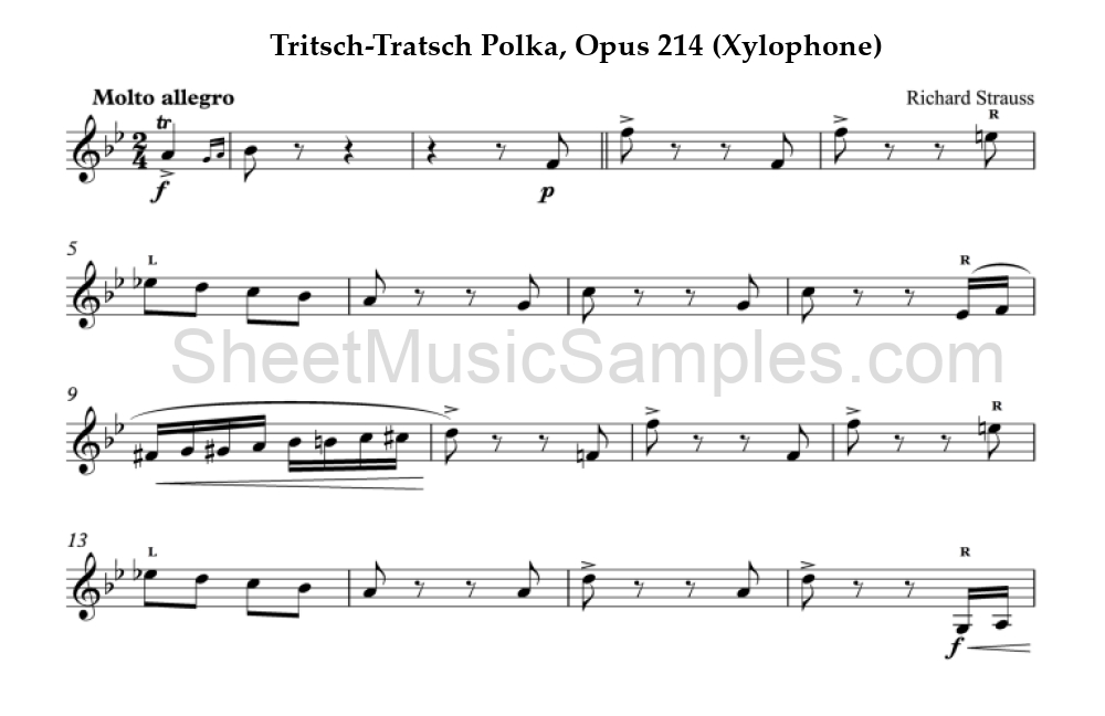 Tritsch-Tratsch Polka, Opus 214 (Xylophone)