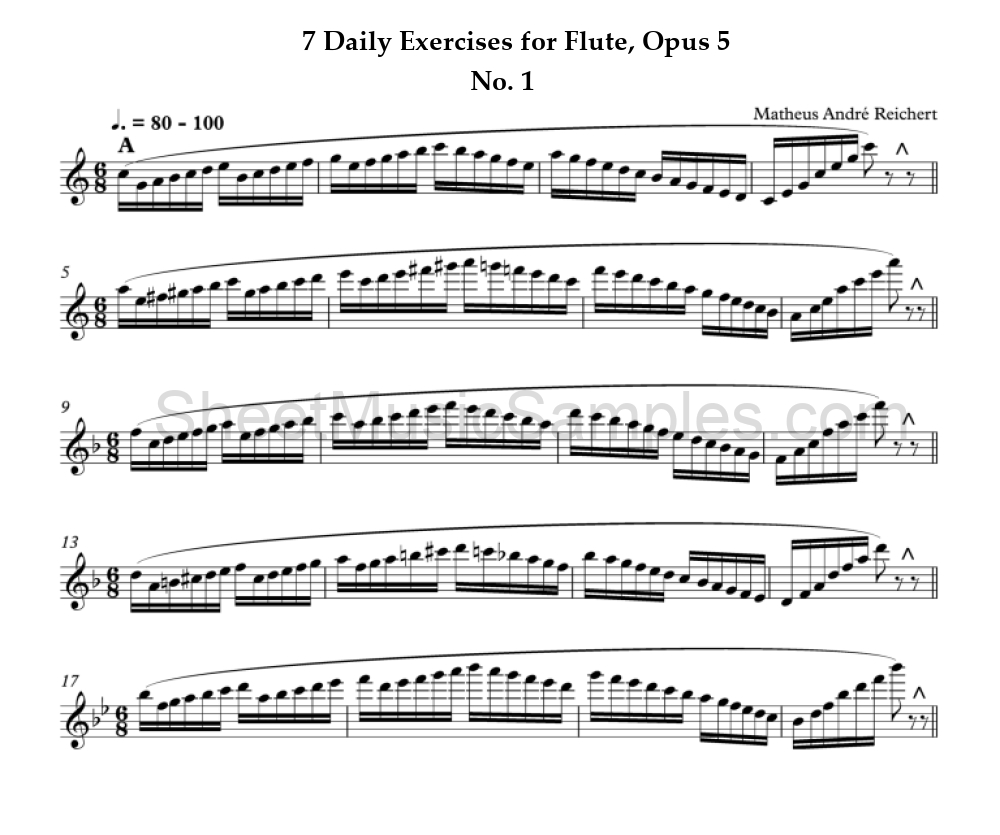 7 Daily Exercises for Flute, Opus 5 - No. 1