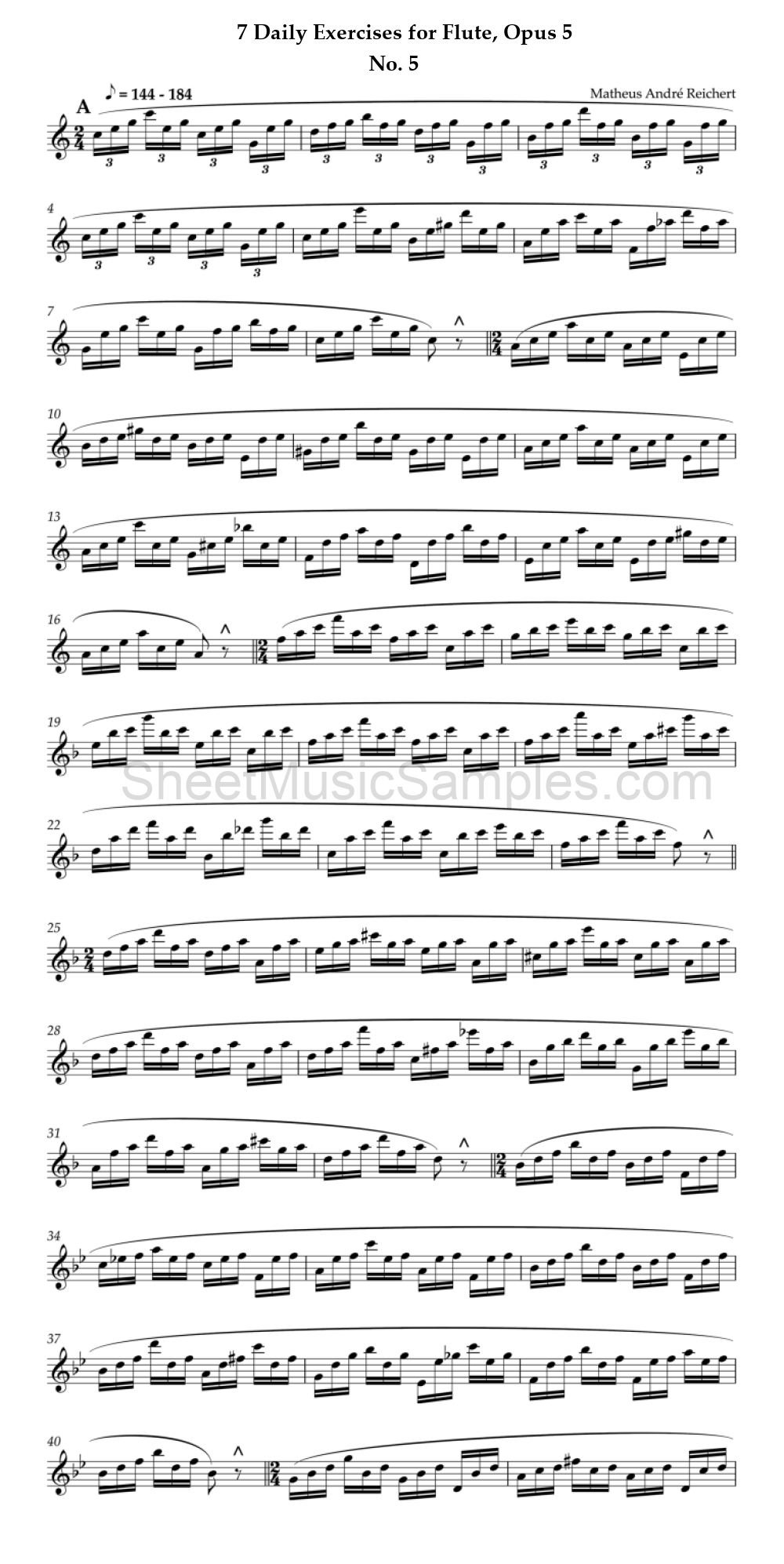 7 Daily Exercises for Flute, Opus 5 - No. 5