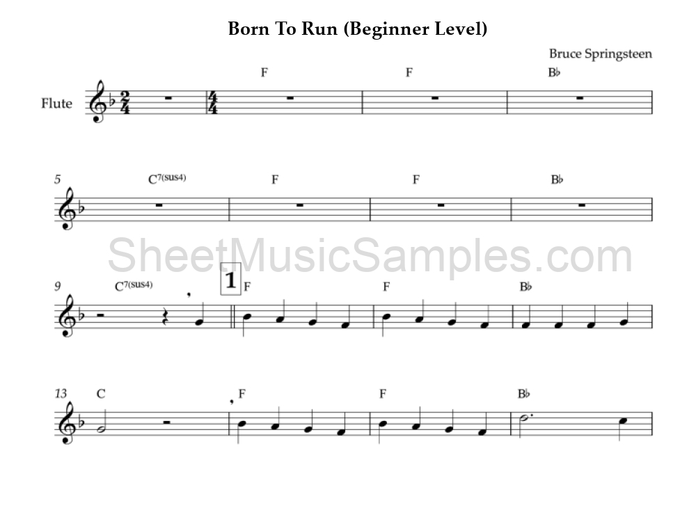 Born To Run (Beginner Level)