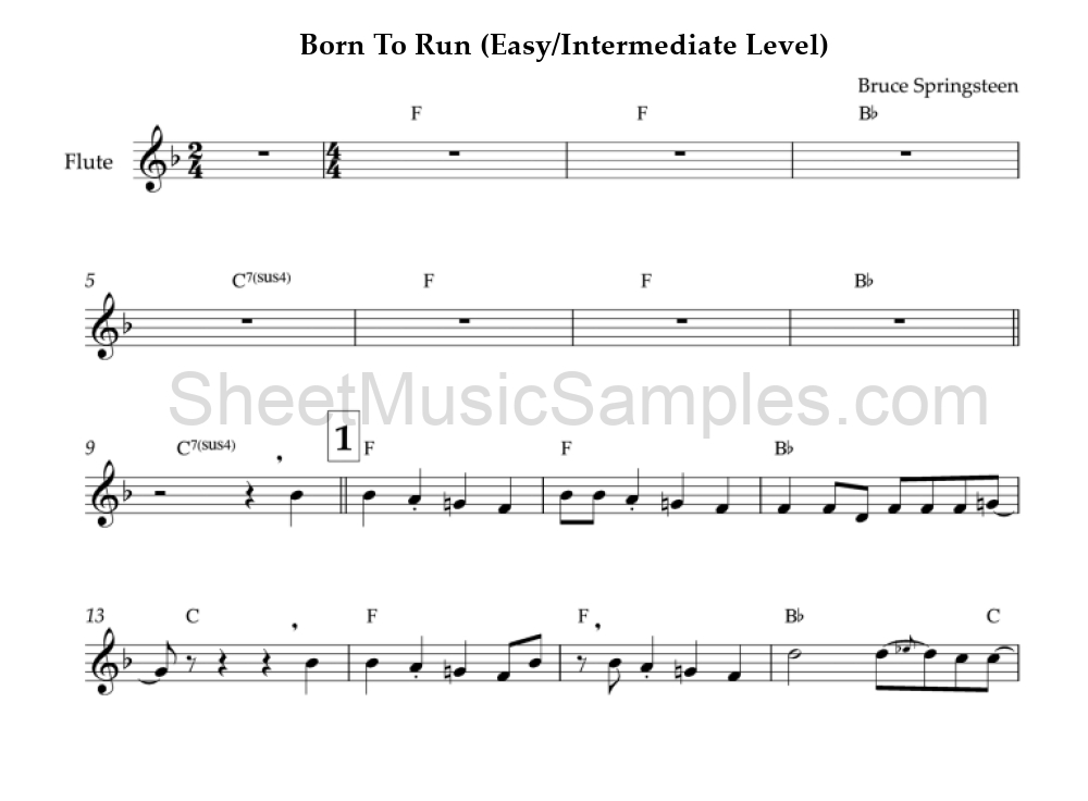 Born To Run (Easy/Intermediate Level)