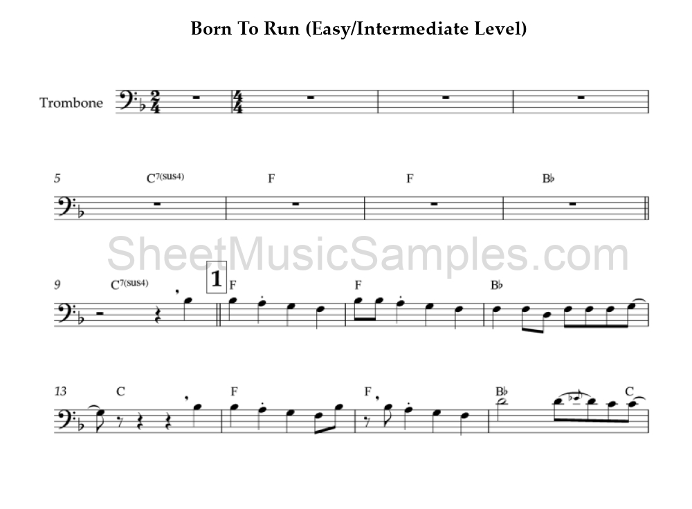 Born To Run (Easy/Intermediate Level)