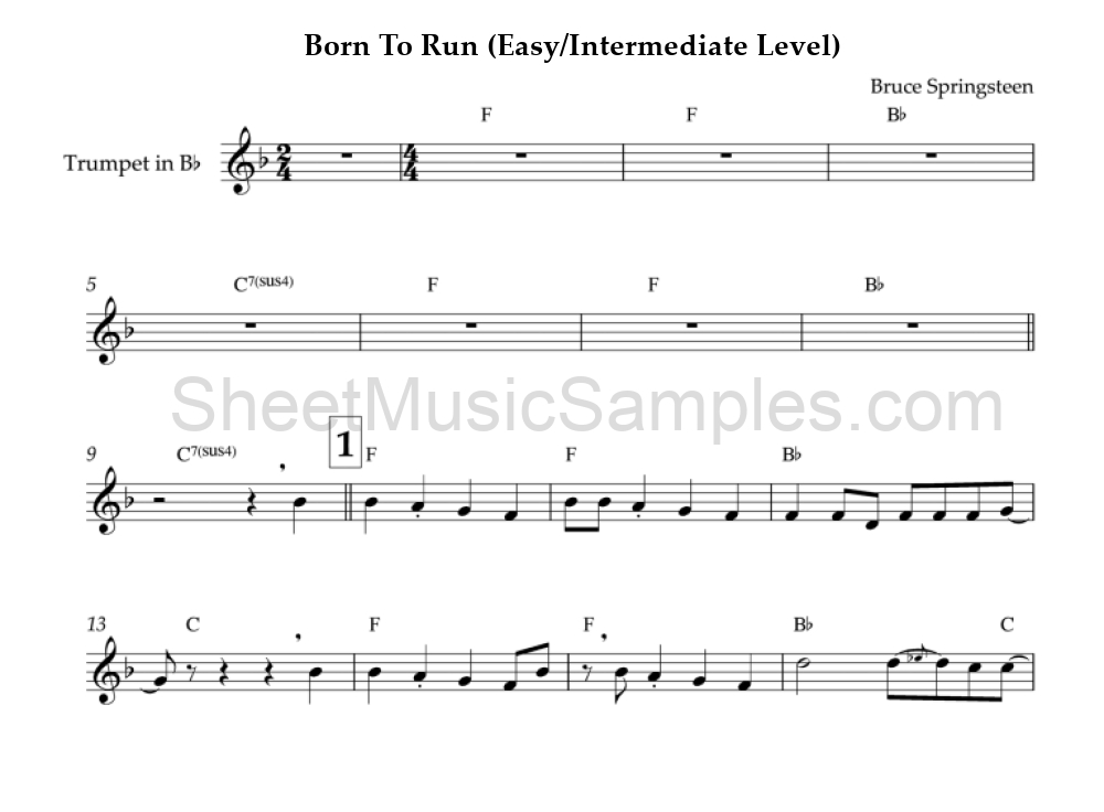 Born To Run (Easy/Intermediate Level)