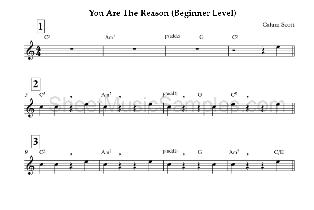 You Are The Reason (Beginner Level)