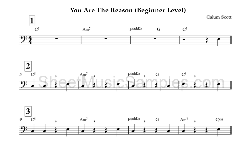 You Are The Reason (Beginner Level)