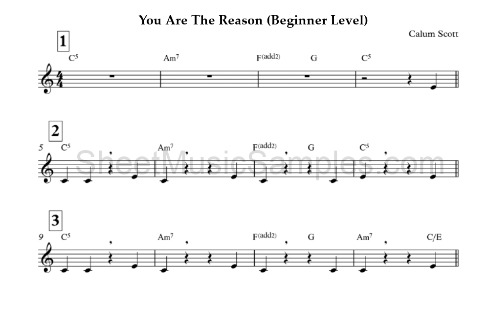 You Are The Reason (Beginner Level)