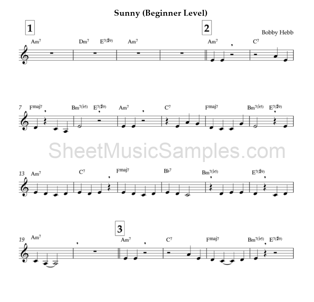 Sunny (Beginner Level)