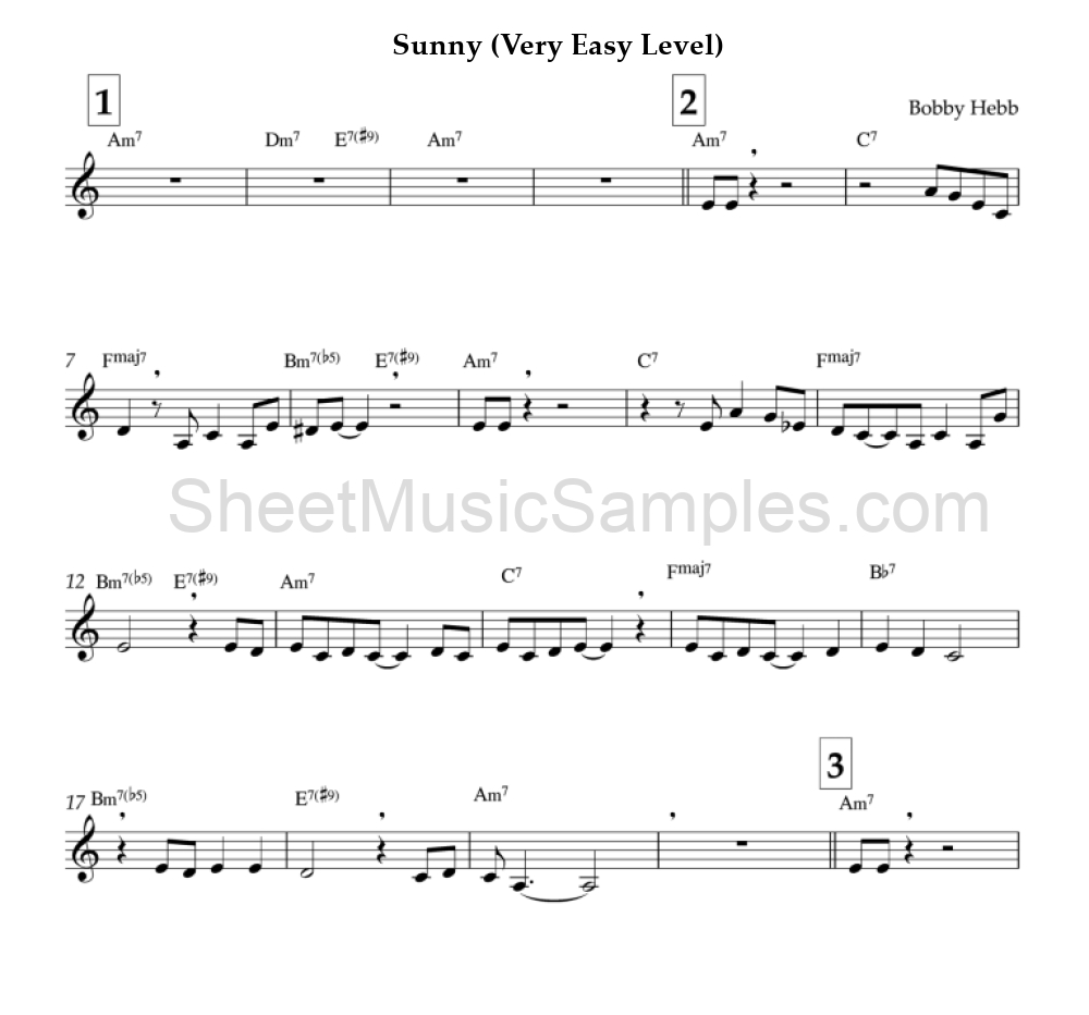 Sunny (Very Easy Level)