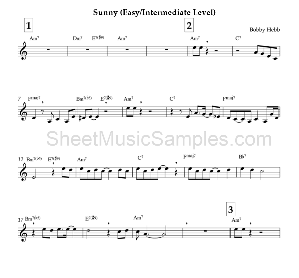 Sunny (Easy/Intermediate Level)