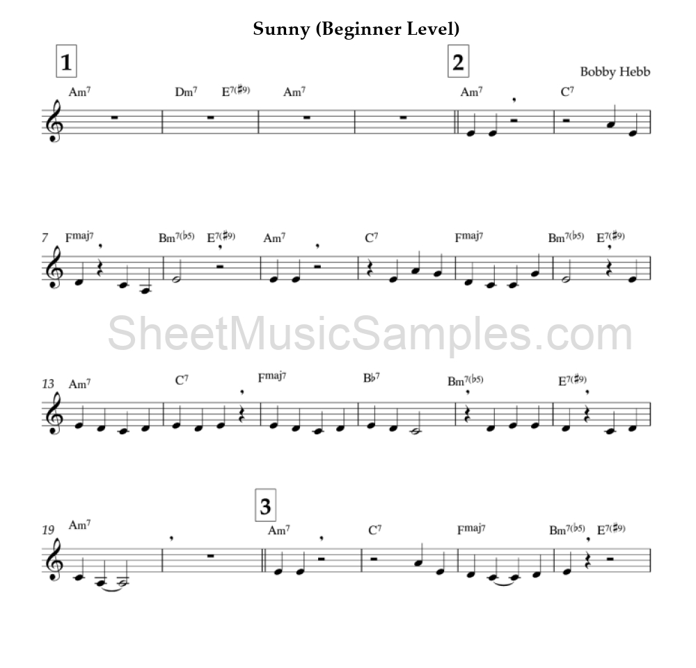 Sunny (Beginner Level)