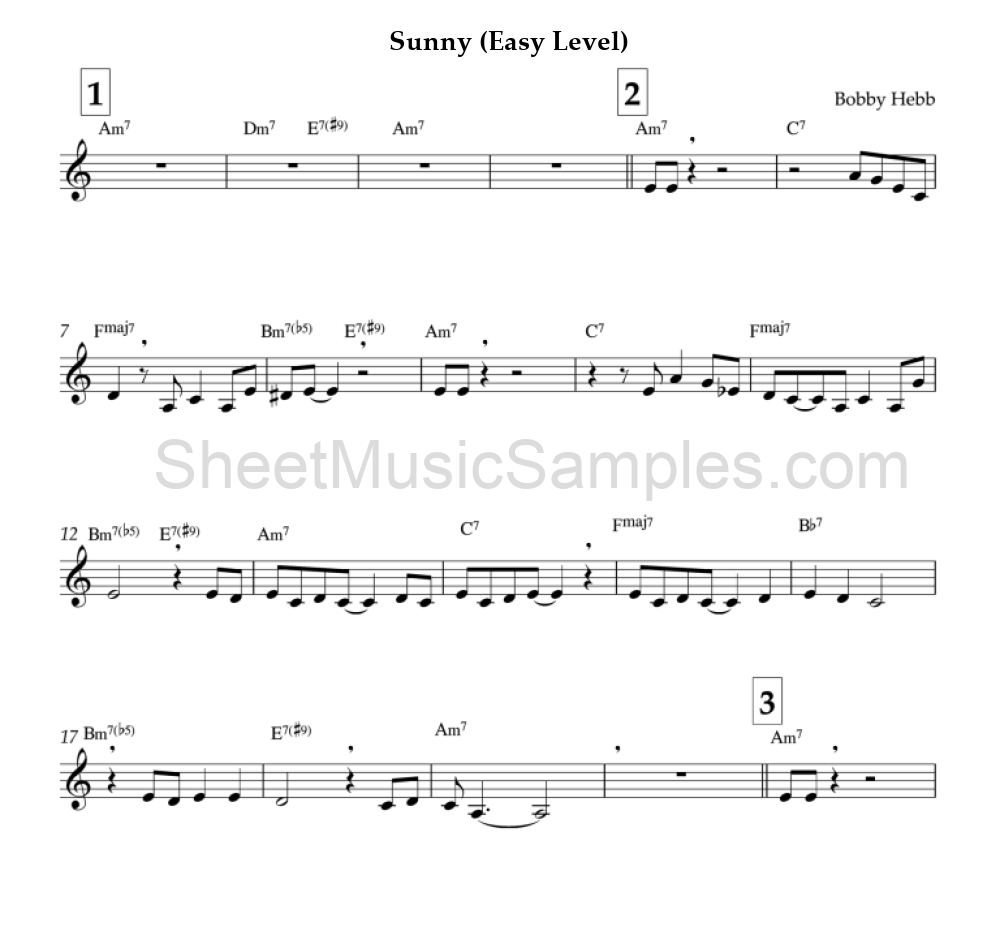 Sunny (Easy Level)