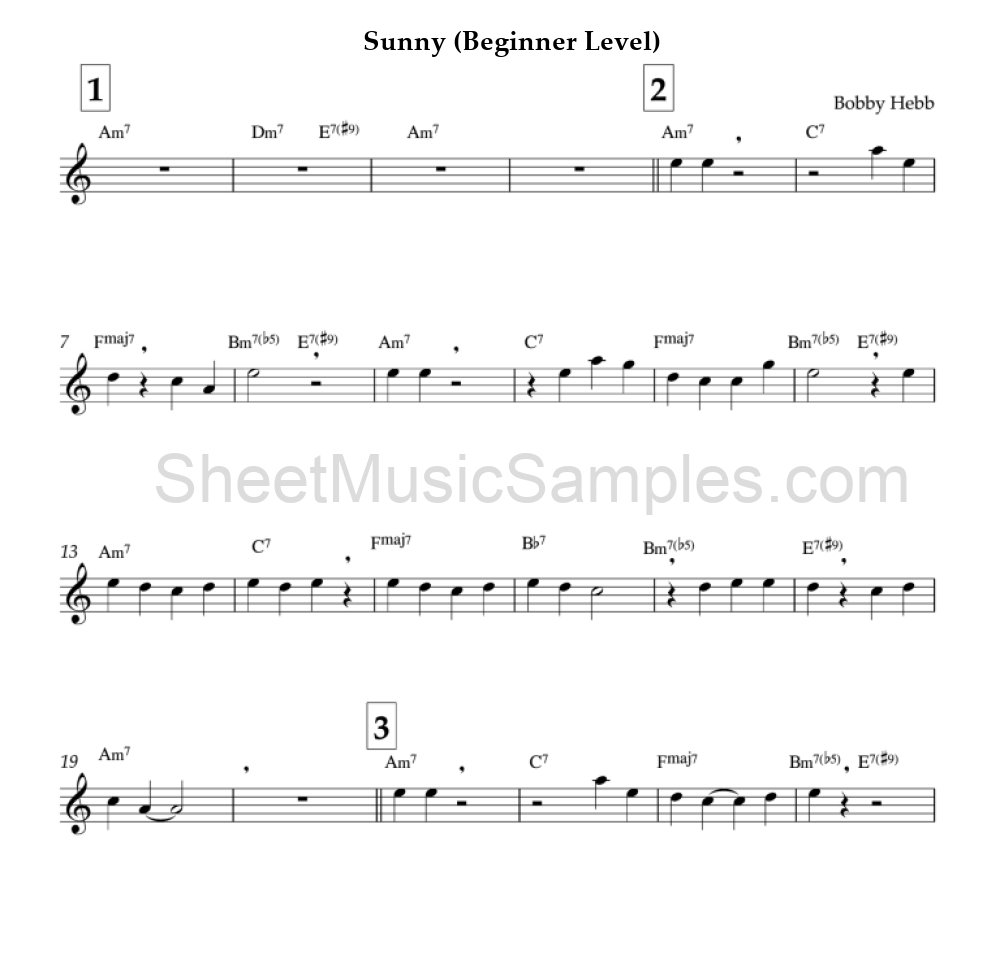 Sunny (Beginner Level)