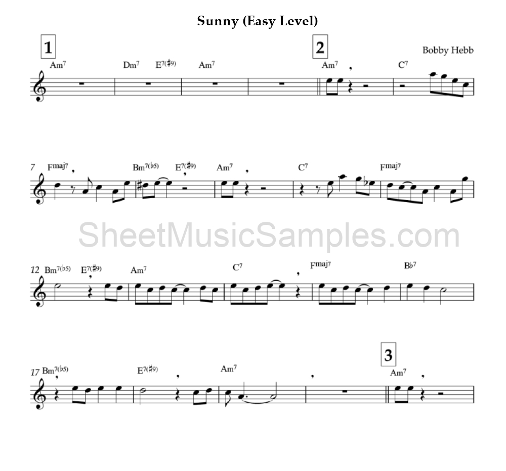 Sunny (Easy Level)