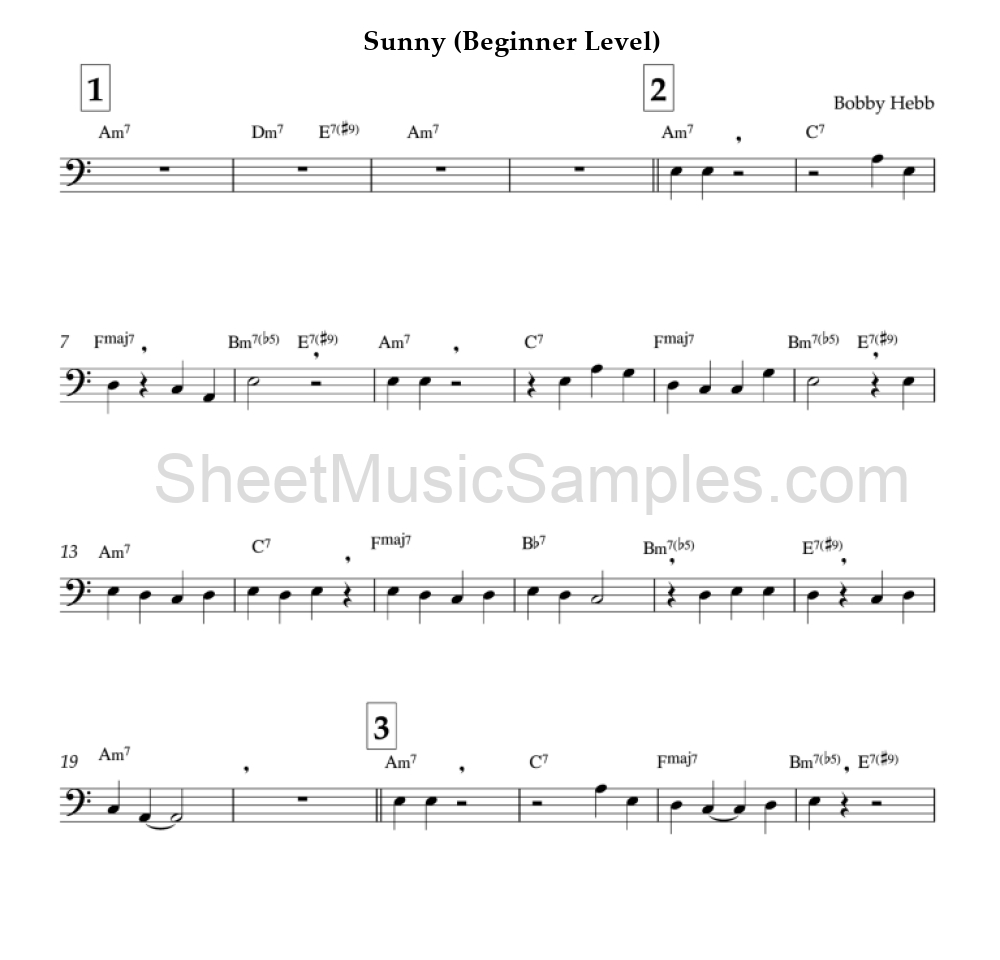 Sunny (Beginner Level)