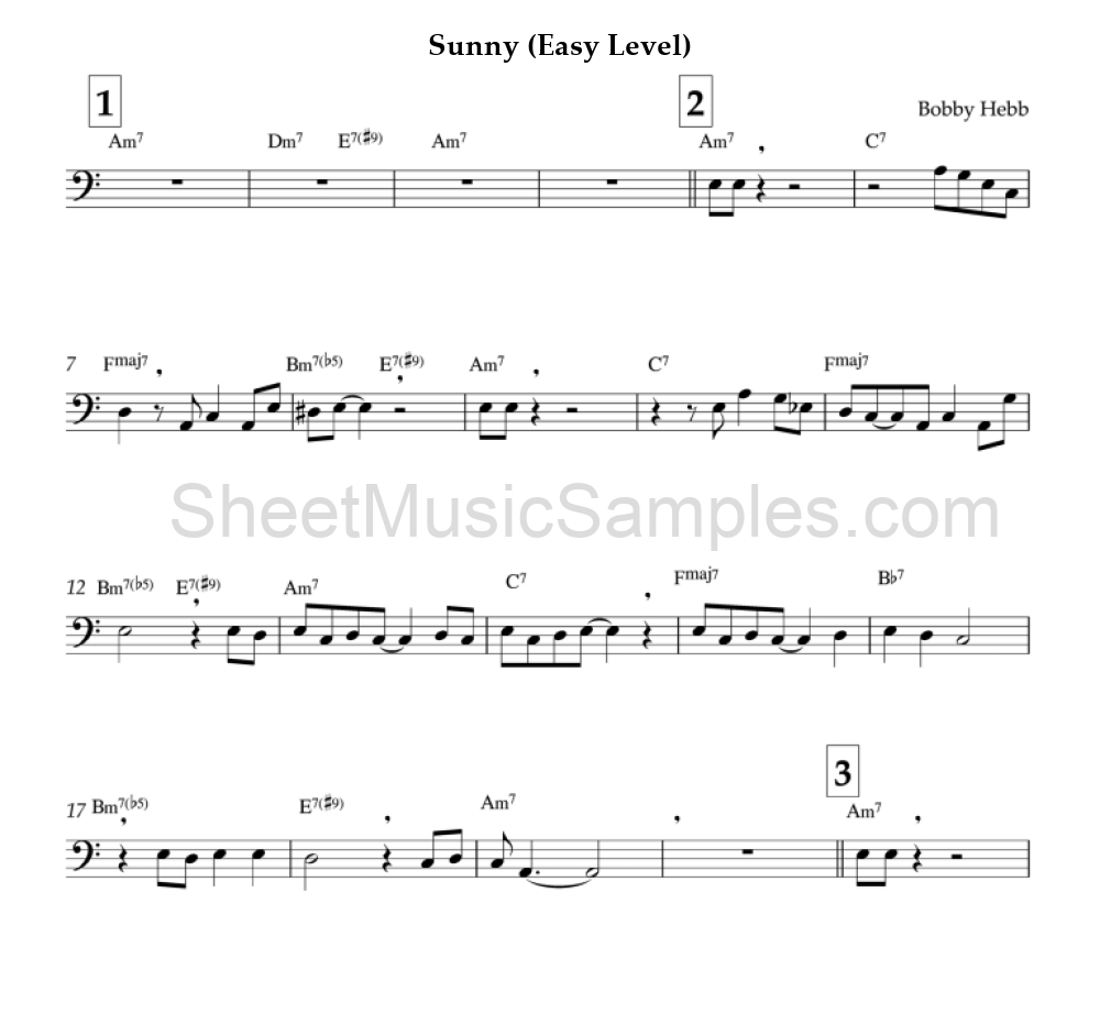 Sunny (Easy Level)