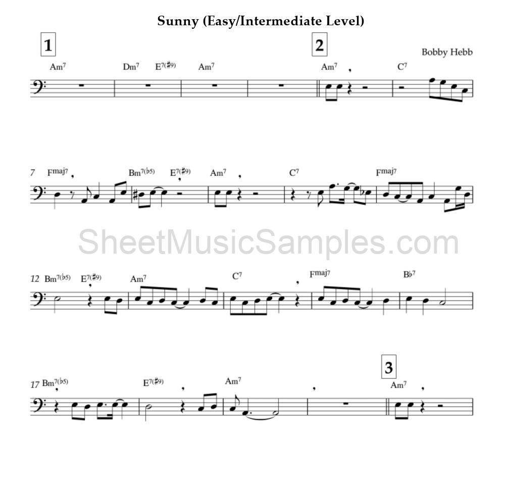 Sunny (Easy/Intermediate Level)