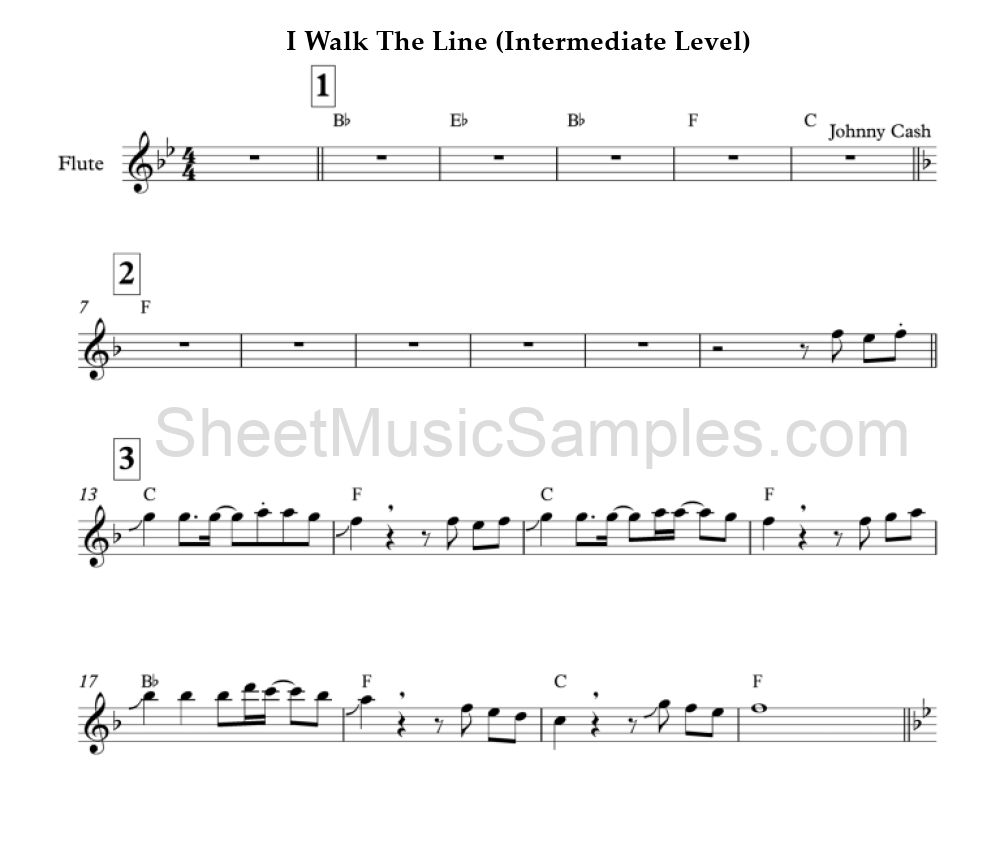 I Walk The Line (Intermediate Level)